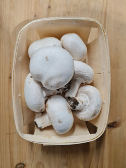 Funghi Champignon (0,5 kg)