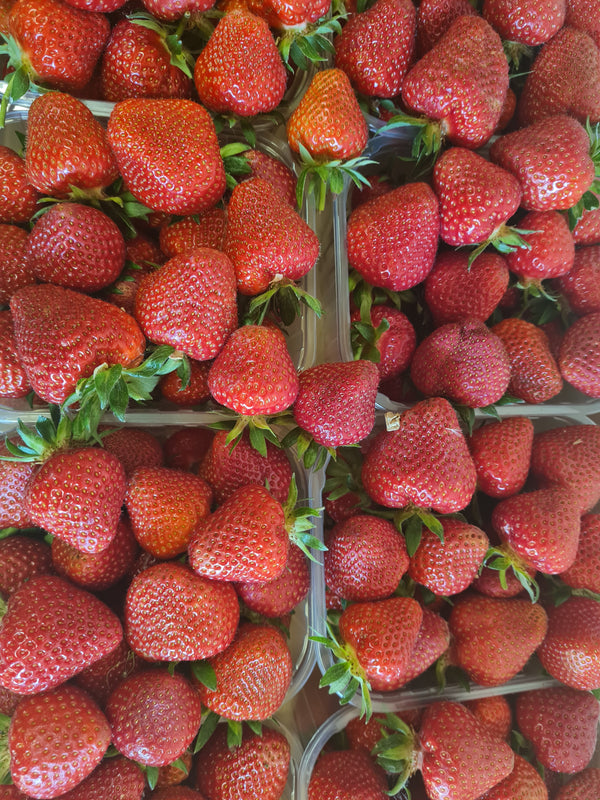 Fragole (0,5kg) - L'Orto di Barbieri