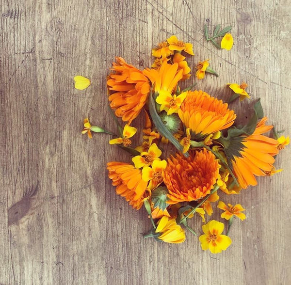 Fiori Eduli (25g) - L'Orto di Barbieri