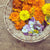Fiori Eduli (10 fiori) - L'Orto di Barbieri