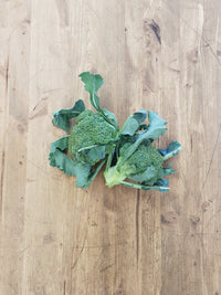 Broccoli (0,5kg) - L'Orto di Barbieri