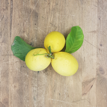 Limoni non trattati (0,5kg)