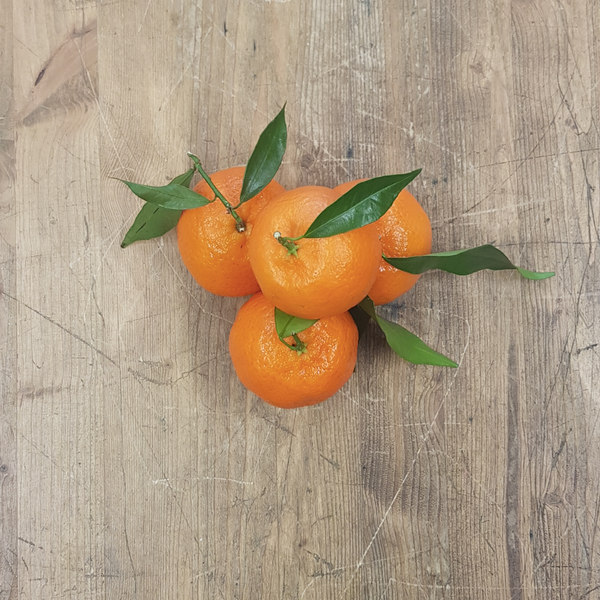 Mandarini (0,5kg) - L'Orto di Barbieri